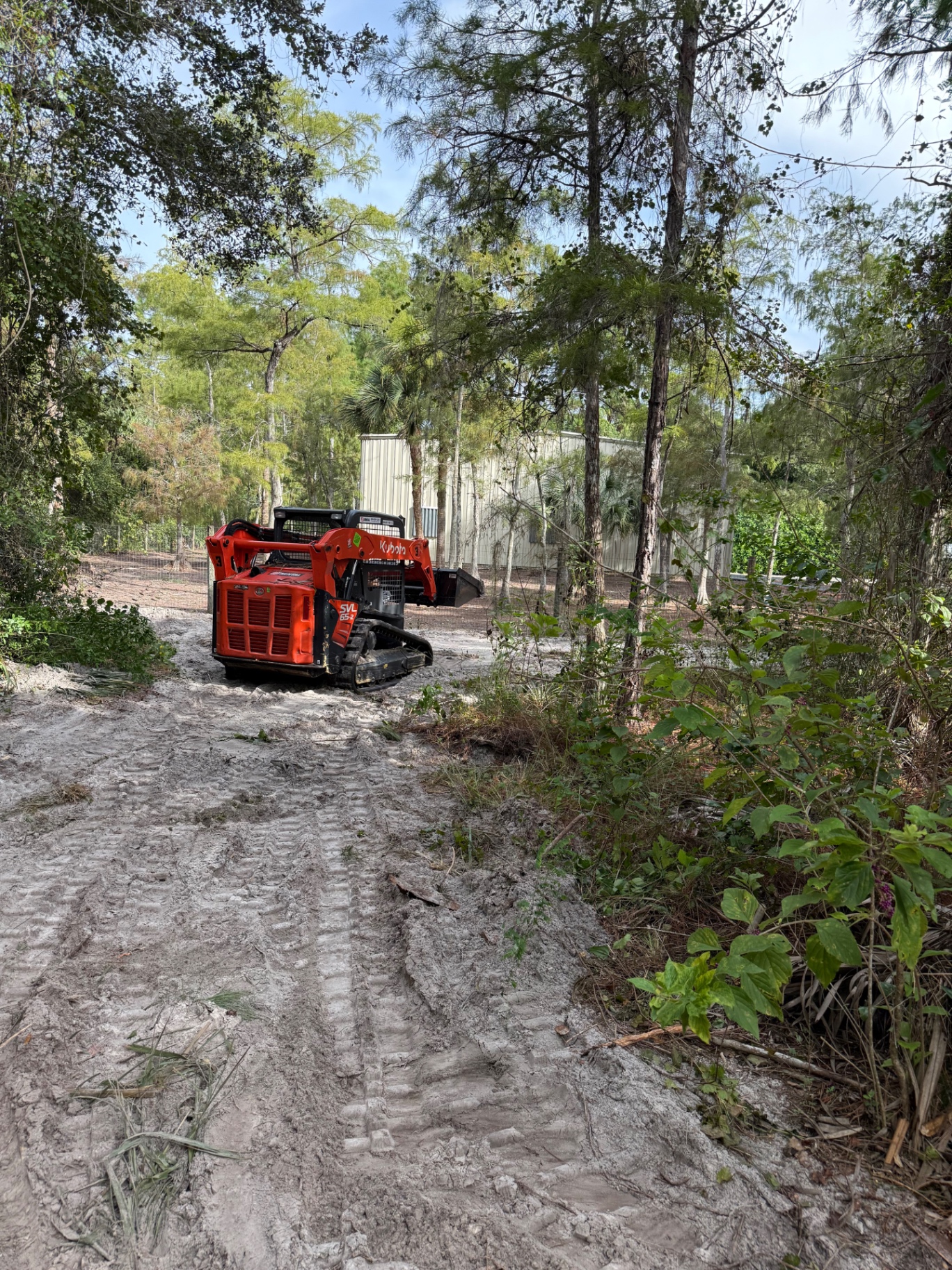 Taylor Crafted Homes track loader clearing a sandy access path through pines and cypress.