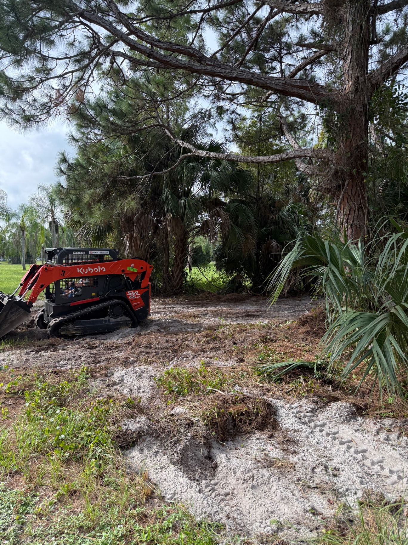 Taylor Crafted Homes equipment preparing a wooded Southwest Florida property